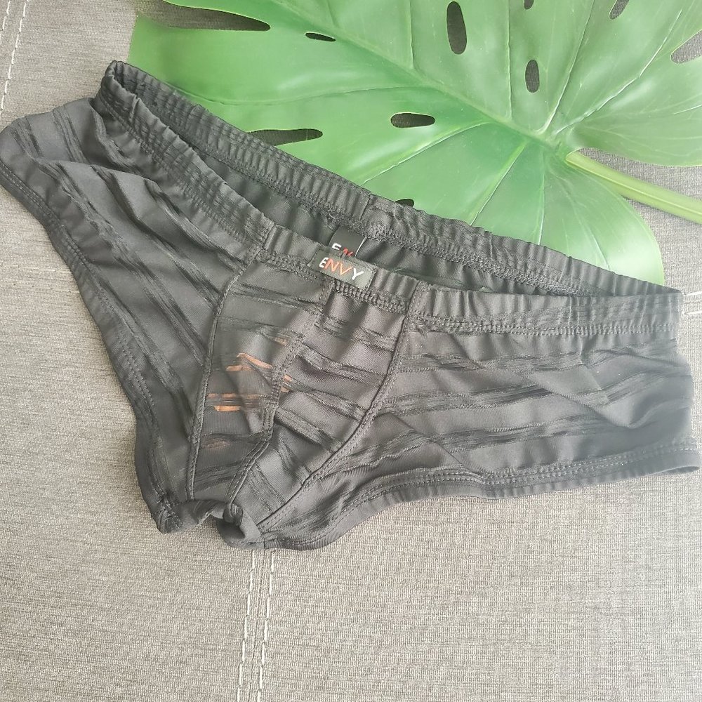 Envy Mens Sheer Low Rise Cheeky Brief